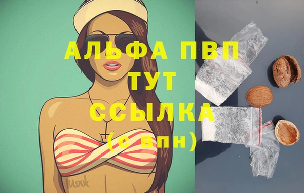 стафф Богородицк