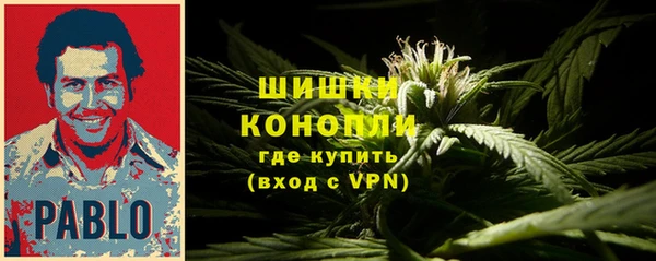 стафф Богородицк